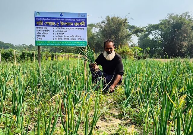 মতি সরদার